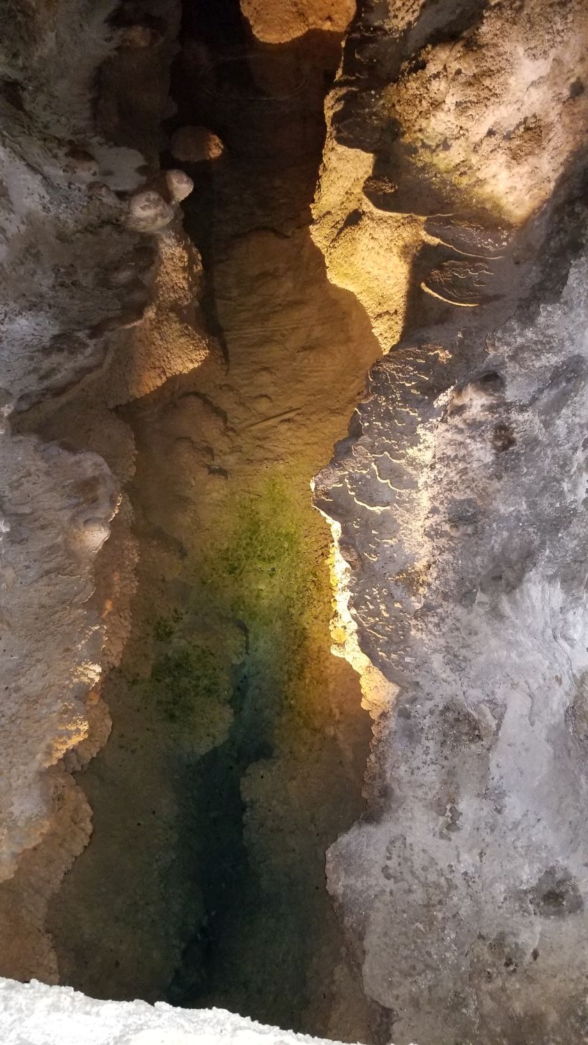 Carlsbad Caverns 